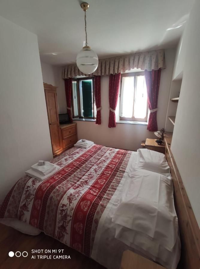 La Favorita Bed and Breakfast Lozzo Cadore Buitenkant foto